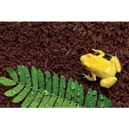 Terrario Nexframe A-Line 20x20x30 - terrarium aluminiowe-2091663