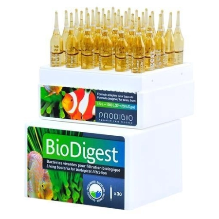 Beyers Bioflorum 450g - odżywka jelitowa-2093545