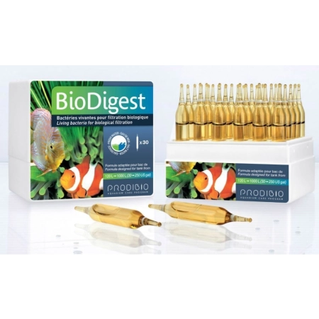 Beyers Bioflorum 450g - odżywka jelitowa