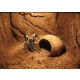Terrario Nexframe A-Line 20x20x30 - terrarium aluminiowe-2091660