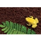 Terrario Nexframe A-Line 20x20x30 - terrarium aluminiowe-2091663