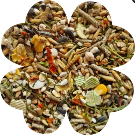 Alegia Enjoy pokarm dla myszy i myszoskoczka 400g-2117218