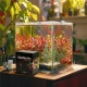 Aquario AquaViva Pro pH Controller - komputer pH z sondą-2117957