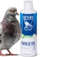 Beyers Garlic Oil 400ml - olej z czosnku-2118573