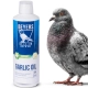 Beyers Garlic Oil 400ml - olej z czosnku-2118575
