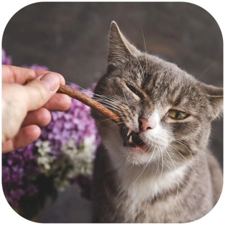 GimCat Sticks 95% Meat - kiełbaski drobiowe z wątróbką 4 sztuki-2120946