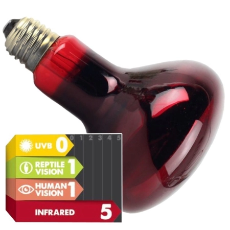 Komodo Infrared 100W - żarówka grzewcza podczerwona-2124461