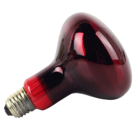 Komodo Infrared 100W - żarówka grzewcza podczerwona-2124462