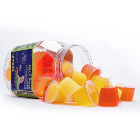 Komodo Jelly Pot Fruit Mix  Jar - miks owocowy w żelu 60szt.-2124503