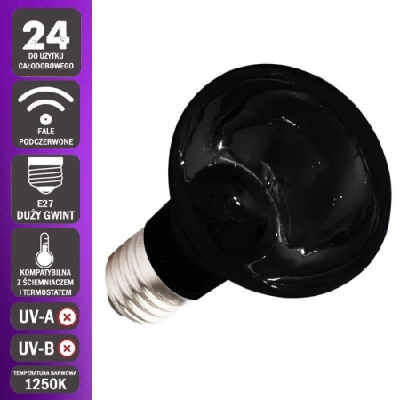 Komodo Moonlight 50W - nocna żarówka grzewcza-2124573