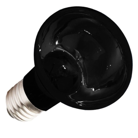 Komodo Moonlight 50W - nocna żarówka grzewcza-2124575