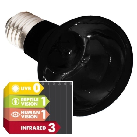 Komodo Moonlight 75W - nocna żarówka grzewcza-2124577