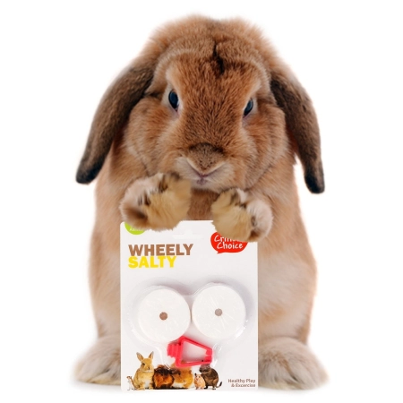 HappyPet Wheely Salty - sól z uchwytem dla gryzoni-2124749