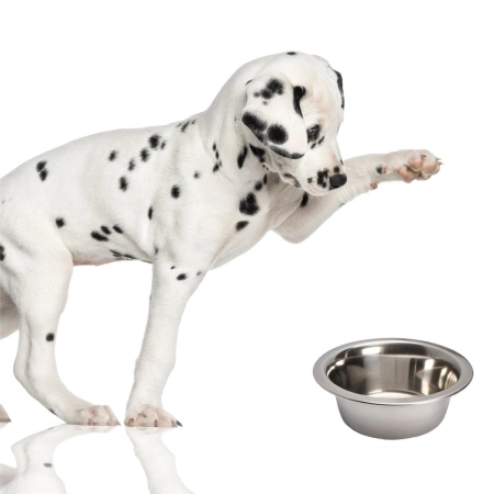 Lupipets Dog Bowl - metalowa miska dla psa 0,9L-2126875