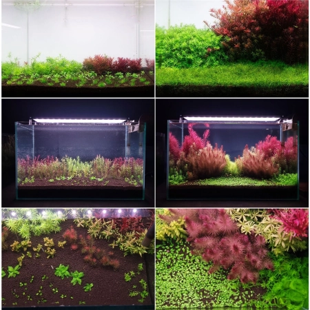 Neo Booster Plants FERTI 300ml - nawóz dla roślin akwariowych dla początkujących-2126976