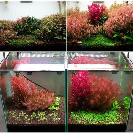Neo Booster Plants FERTI 300ml - nawóz dla roślin akwariowych dla początkujących-2126979