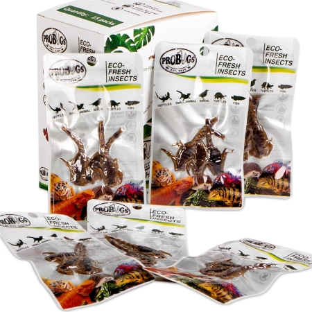 ProBugs Eco-Fresh Scorpion 15 x 3pcs - świeże skorpiony 15 saszetek-2128289