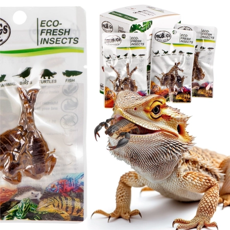 ProBugs Eco-Fresh Scorpion 15 x 3pcs - świeże skorpiony 15 saszetek-2128296