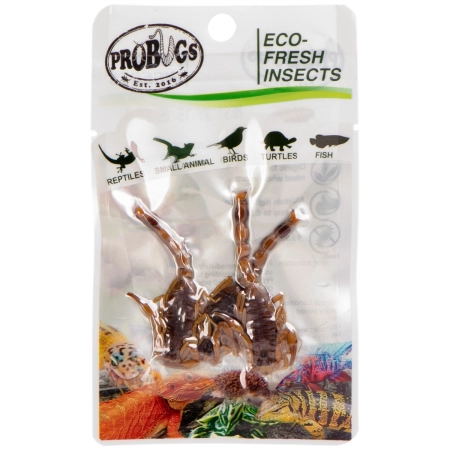 ProBugs Eco-Fresh Scorpion 15 x 3pcs - świeże skorpiony 15 saszetek-2128299