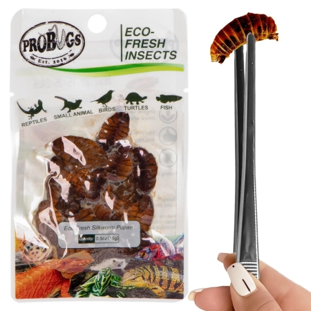 ProBugs Eco-Fresh Silkworm 15g - świeże larwy jedwabnika-2128301