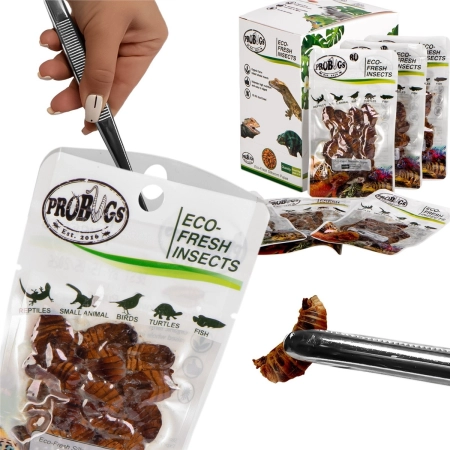 ProBugs Eco-Fresh Silkworm 15g - świeże larwy jedwabnika-2128309