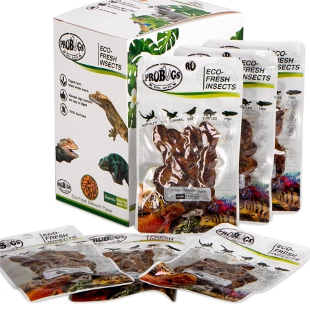 ProBugs Eco-Fresh Silkworm 15g - świeże larwy jedwabnika-2128312