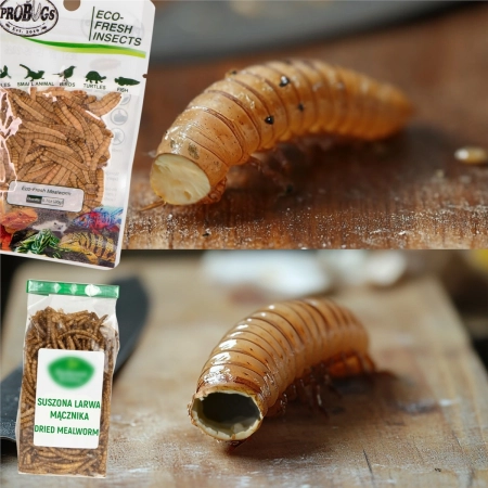 ProBugs Eco-Fresh Silkworm 15 x 15g - świeże larwy jedwabnika 15 saszetek-2128320