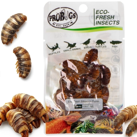 ProBugs Eco-Fresh Silkworm 15 x 15g - świeże larwy jedwabnika 15 saszetek-2128325