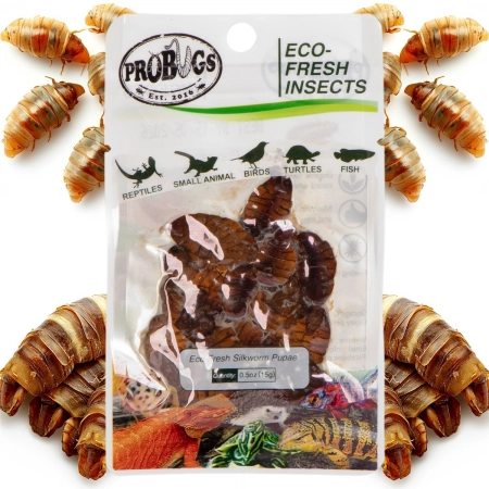 ProBugs Eco-Fresh Silkworm 15 x 15g - świeże larwy jedwabnika 15 saszetek-2128326