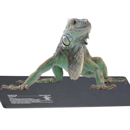 Resun Heating Mat 8W - mata grzewcza PVC 15x20cm-2129109