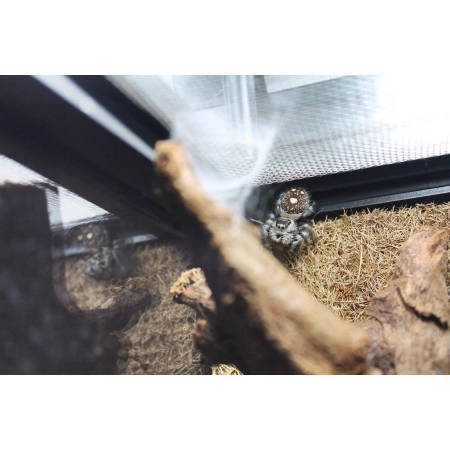 Repti-Zoo Terrarium AK 21x21x15-2129442