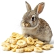 Herbal Pets - Chipsy naturalne Banan 75g-2121354