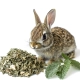 Herbal Pets - Pokrzywa 70g-2121430