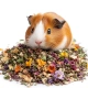 Herbal Pets - Świnkoziółka pokarm dla świnki morskiej 800g-2121444