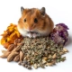 Herbal Pets - Zioła podstawowe dla chomika 100g-2121455