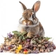 Herbal Pets - Zioła Podstawowe dla Królika 125g-2121459