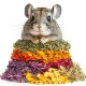Herbal Pets - Zioła Uzupełniające dla Szynszyla 100g-2121475
