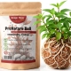 Kruger Meier ProNature Ball 5 - kulki nawozowe z biostymulatorem-2123825