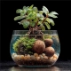 Kruger Meier ProNature Ball 5 - kulki nawozowe z biostymulatorem-2123828