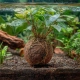 Kruger Meier ProNature Ball 5 - kulki nawozowe z biostymulatorem-2123830