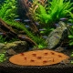 Kruger Meier Shrimp Leaves XL - liście ketapangu 15 sztuk-2123942