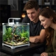 Kruger Meier Shrimp!One Pro 30 - zestaw akwarium 15l-2123972