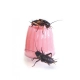 Komodo Jelly Pot Fruit Mix  Jar - miks owocowy w żelu 60szt.-2124501