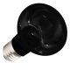 Komodo Moonlight 50W - nocna żarówka grzewcza-2124575