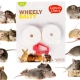 HappyPet Wheely Salty - sól z uchwytem dla gryzoni-2124752