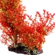 Kruger Meier Plant Red Bush - roślinka sztuczna-2125865