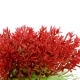 Kruger Meier Plant Mini Flame - roślinka sztuczna-2125930