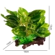 Kruger Meier Plant Ficus Root - roślinka sztuczna-2125985