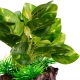 Kruger Meier Plant Ficus Root - roślinka sztuczna-2125986