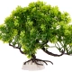 Kruger Meier Plant Zen Bosai - roślinka sztuczna-2126021